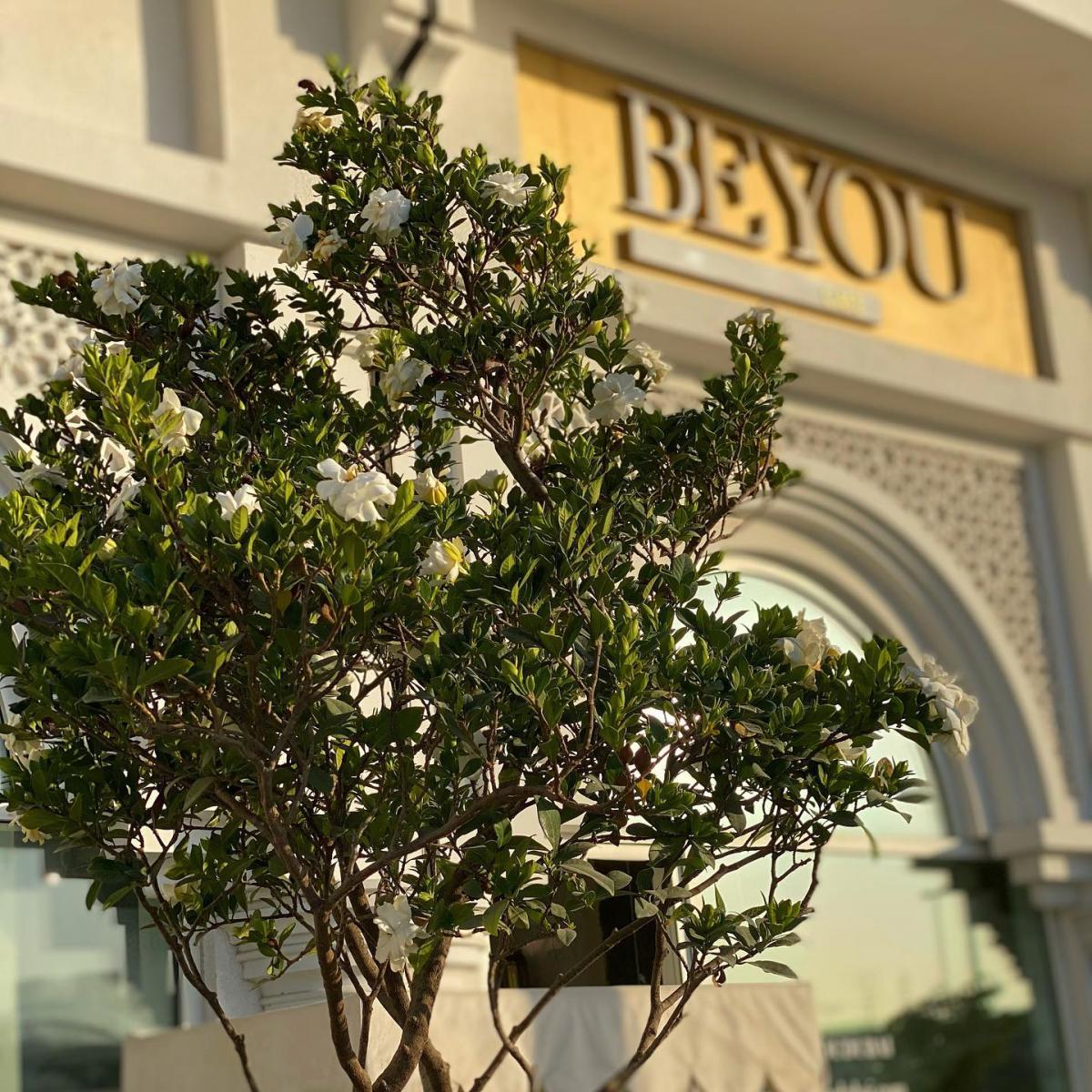 Beyou Boutique at dar wasl